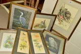 a parcel of watercolour paintings of animals and insects by Janet Whittaker, watercolour, sold Feb 2019