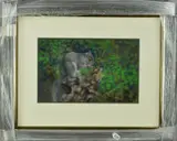 a pastel study of a squirrel, signed bottom right, mounted, by Joel Kirk 'westen Grey Squirrel Iv', pastel, sold Feb 2019