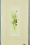 a limited edition print 86/750 signed in pencil, mounted, unframed, approximate size 31cm x 10.5cm (A) by Marion Harbinson 'red Admiral On Catkins', print, sold Feb 2019