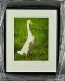 a limited edition print of a goose, 40/95, signed and titled in pencil, with by Paul James 'dotty', print, sold Feb 2019