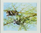 Up A Gum Tree by David Shepherd, print, sold Nov 2018