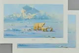 Polar bear country by David Shepherd, print, sold Nov 2018