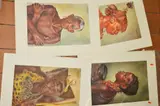 five lithographic prints depicting African tribes people, unmounted, unframed, approximate size 43cm x 29cm by Joy Adamson, print (other), sold Nov 2018