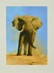 MY SAVUTI FRIEND' a limited edition print 59/350 of an elephant by David Shepherd, print, sold Oct 2018