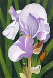 The Iris, Beetle and Ladybird Signed, also signed, titled and dated 1996 verso Oil on board 51 x 36cm by Cecil Riley, 1996, Oil on board, sold Feb 2018