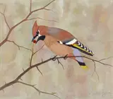 Parrot on a branch; Peacocks roosting A pair, both signed Both watercolour Each 53 x 75cm Together with a smaller watercolour of a finch by the same hand (3) by Ralston Gudgeon, watercolour, sold Feb 2018