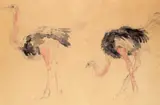 Study of ostriches, 1987 Watercolour and pencil on buff paper 50 x 75cm Provenance: Browse & Darby, London, 30th September, 1988 by Nick Johnson, Watercolour and pencil on buff paper, sold Feb 2018