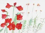 Amaryllis and orchids Signed and dated 1982, also inscribed with artist's notes Watercolour 58 x 79cm by Elizabeth Blackadder, 1982, Watercolour, sold Feb 2018