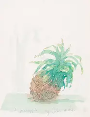 A Pineapple Signed and titled Watercolour over pencil 24 x 18cm by John Miller, Watercolour over pencil, sold Feb 2018