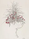 Studies of Geraniums in an urn A pair, both signed Both pen by Stewart Black, ink and heightened, sold Feb 2018