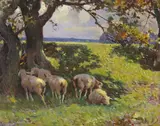 A small flock of sheep in the shade Signed Oil by Frederick Hall, Oil on panel, sold Nov 2017