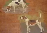 Portraits of foxhounds Two, one inscribed , 1st Prize, 2 couples, Peterboro by Eleanor Barbara Shiffner, 1927, oil on panel, sold Nov 2017