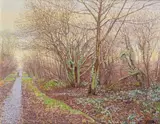 A mystery of rain day trees, Manor of Rusthall Signed, also signed and titled on the frame verso Oil on canvasboard 33 x 40.5cm ++Good condition by Maurice Raymond Sheppard, Oil on canvasboard, offered Nov 2017