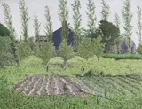 s Garden Signed, titled and dated '78 verso Tempera 24 x 31cm ++One or two light scuffs, good condition by Peter Bibby, Tempera, offered Nov 2017