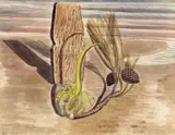 Objects on the sand Signed in by Paul Nash, Watercolour and pencil with coloured chalk, sold Nov 2017