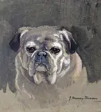 A portrait of a pug dog Signed by John Murray Thomson, Watercolour on buff paper, sold Nov 2017
