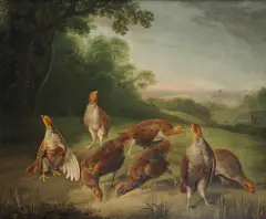 A covey of partridge by Stephen Elmer, oil on canvas, sold Jan 2014