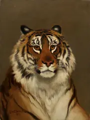 The head of a tiger by Charles Edwin Baldock, oil on canvas, offered Jan 2014