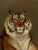 The head of a tiger by Charles Edwin Baldock, oil on canvas, offered Jan 2014