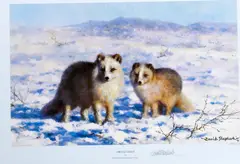 'Arctic Foxes' by David Shepherd, sold Oct 2013