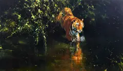 'Burning Bright' by David Shepherd, sold Oct 2013