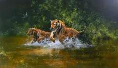 'Indian Summer' by David Shepherd, sold Oct 2013