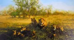 'First Light at Savuti' by David Shepherd, sold Apr 2013