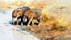 'Burning Bright' by David Shepherd, sold Apr 2013