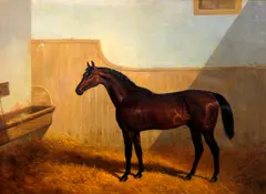 'Whisker', horse in a loosebox by Snr. John Frederick Herring, sold Mar 2013