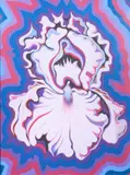 Electric Iris in Purple, Red, and Violet by Lowell Nesbitt, 1980, acrylic on paper board, sold May 2021