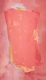 Pink Flush by Sherron Francis, 1972, acrylic on canvas, sold Jun 2021