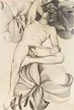 Vincent and Three Lilies by Lowell Nesbitt, 1974-78, graphite on paper, sold Jun 2021