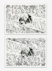 Pair of Artist Proofs for 'Earth Movement of an Island' by Alan Sonfist, mixed media, silver gelatin print mounted on lithograph, sold Jun 2021