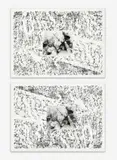 Pair of Artist Proofs for 'Earth Movement of an Island' by Alan Sonfist, mixed media, silver gelatin print mounted on lithograph, sold Jun 2021