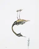 Upside Down Bird And Insect by Sidney Nolan, 1984, oil and mixed media on card, offered Aug 2007