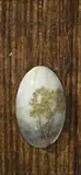 Pendant by Elisabeth Kruger, 1991, oil on panel, offered Aug 2007