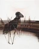 Bird by Sidney Nolan, cipolin and wax crayon on paper, offered Aug 2007