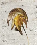 Desert Flower by Sidney Nolan, wax crayon and fabric dye on card, offered Aug 2007