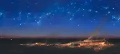 The Night Sky by Tim Storrier, 1993, oil on canvas, sold Nov 2007