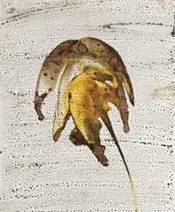 Bush Flora by Sidney Nolan, 1968, wax crayon and fabric dye on card, sold Nov 2007