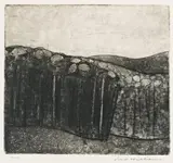 Forest At Almerton Number 2 by Fred Williams, 1962, aquatint, engraving and drypoint, sold Nov 2007