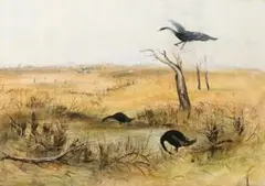 Wimmera Landscape With Black Swans by Arthur Boyd, 1950 - 52, tempera on board, sold Nov 2011