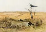 Wimmera Landscape With Black Swans by Arthur Boyd, 1950 - 52, tempera on board, sold Nov 2011