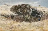 The Burnt Spinney by Arthur Boyd, 1957, oil on composition board, sold Nov 2011