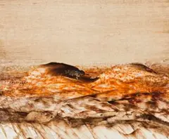 Central Australia by Sidney Nolan, 1968, oil on paper, sold Nov 2011