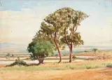 (nos 29 à 89) Kenya by Henry de Monfreid, Aquarelle, sold Mar 2017