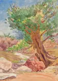 (nos 29 à 89) Éthiopie, environs d'Harrar by Henry de Monfreid, 1929, Aquarelle, sold Mar 2017