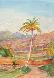 (nos 29 à 89) Éthiopie, palmier dattier by Henry de Monfreid, Aquarelle, sold Mar 2017