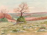 (nos 29 à 89) Campagne by Henry de Monfreid, 1964, Aquarelle, sold Mar 2017