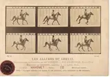 Les allures du Cheval Mahomet, (appartenand à Leland Stanford) [The Horse in Motion. "Mahomet" owned by Leland Stanford; 18 June, 1878) Palo Alto, San Francisco by Eadweard Muybridge, Épreuve albuminée d'époque, série chronophotographique, sold Nov 2016